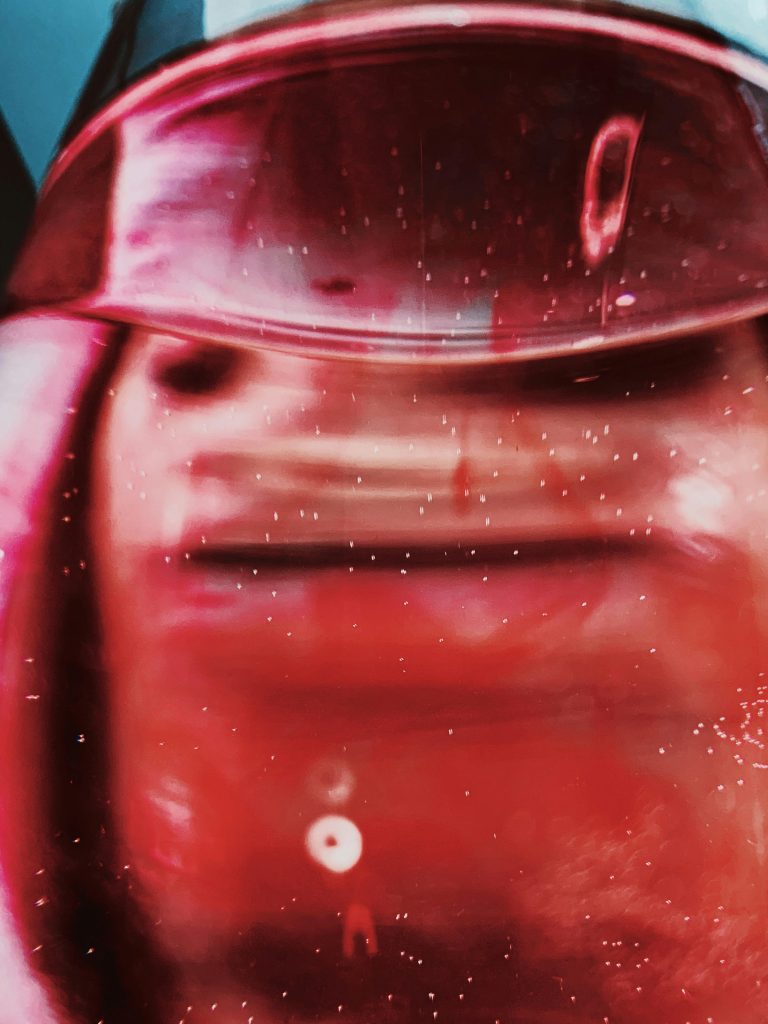 pexels-didsss-3734932