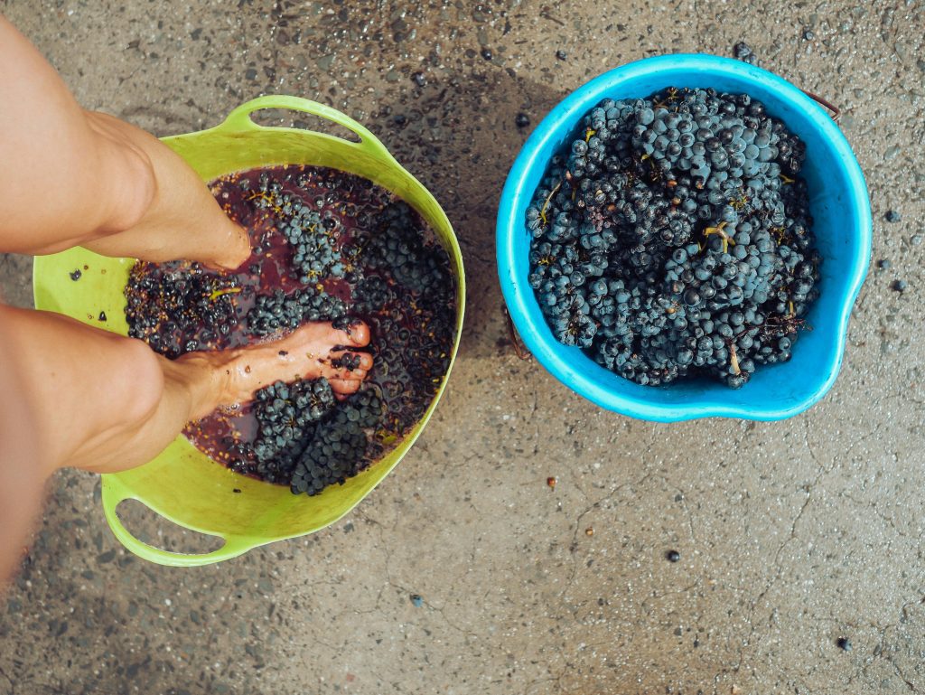 pexels-grape-things-3842607